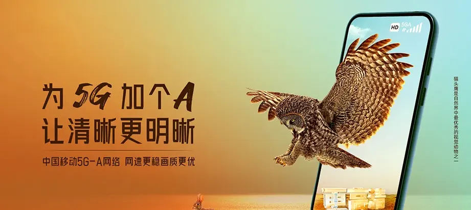 灵璧县灵璧县大路镇 移动宽带